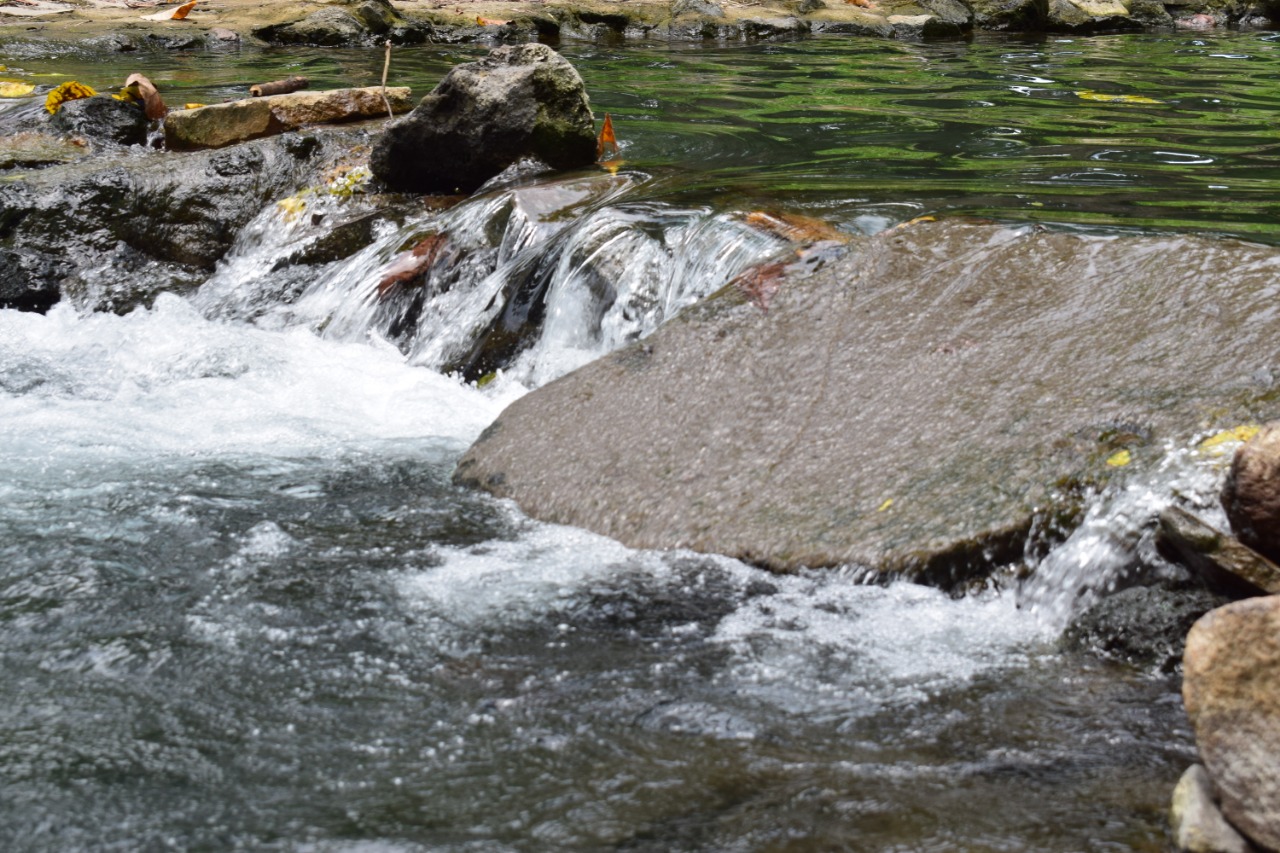 aguas-agrias